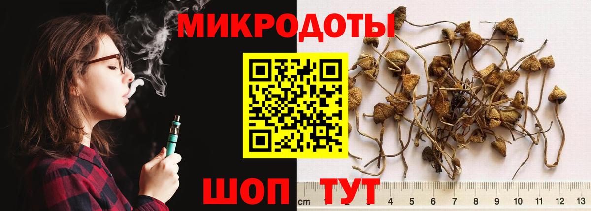 Галлюциногенные грибы MAGIC MUSHROOMS  Галлюциногенные грибы Magic Shrooms  Вход с VPN  Волгоград 